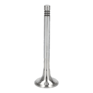 Exhaust Valve