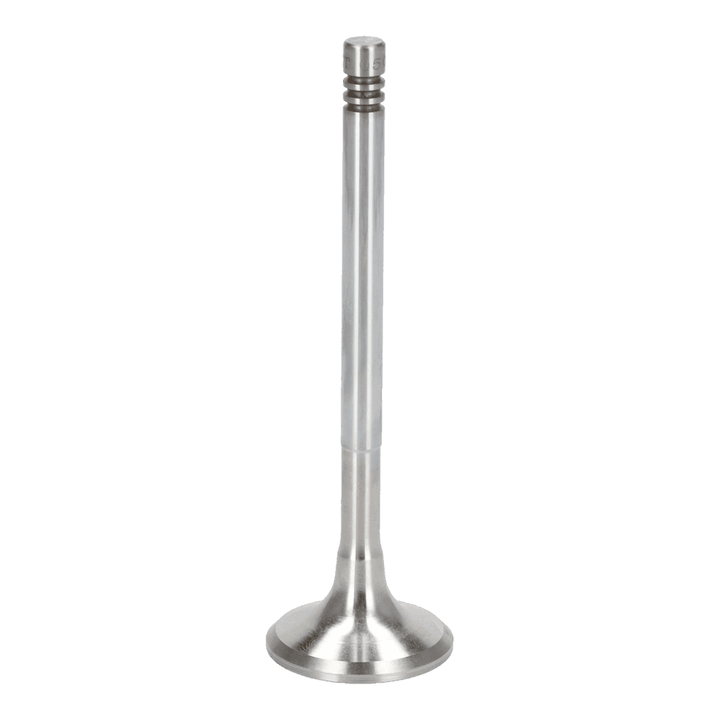 Exhaust Valve
