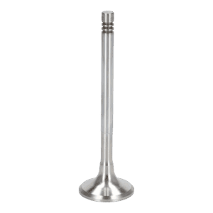 Exhaust Valve