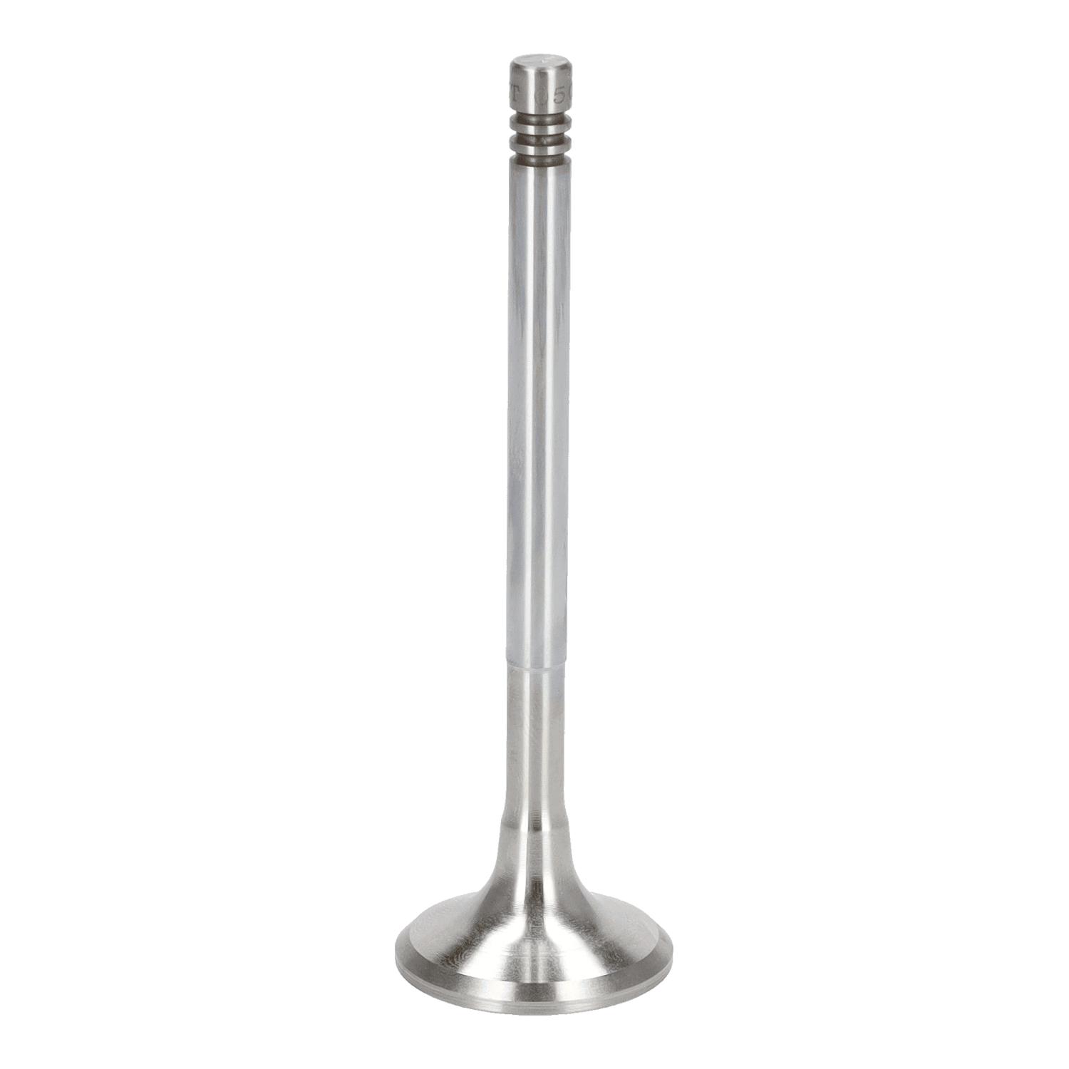 Exhaust Valve