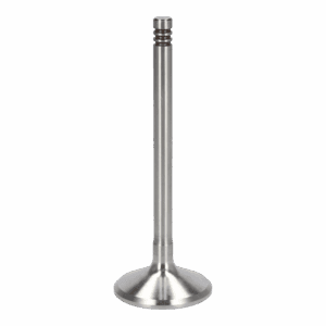 Inlet Valve