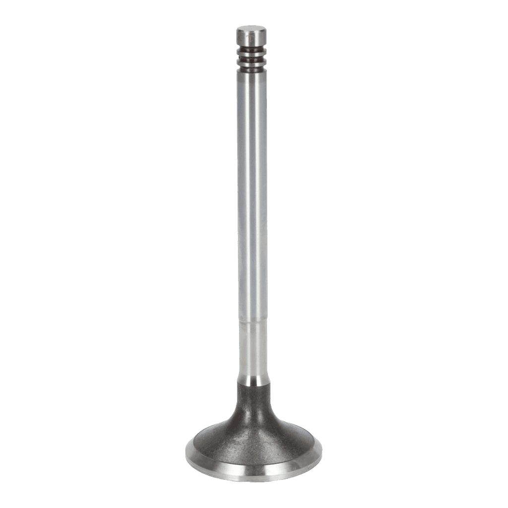 Exhaust Valve