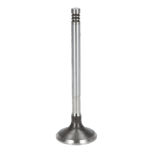 Exhaust Valve