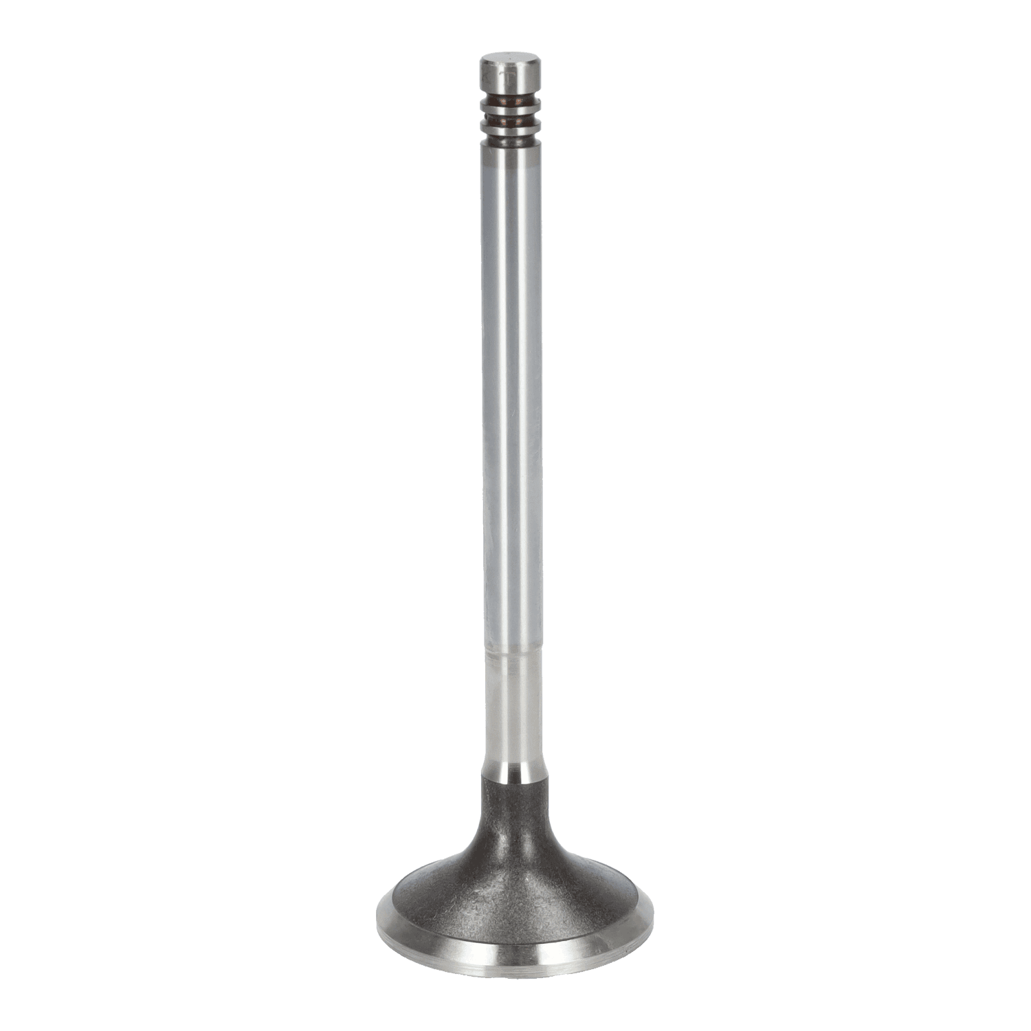 Exhaust Valve