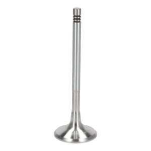 Exhaust Valve
