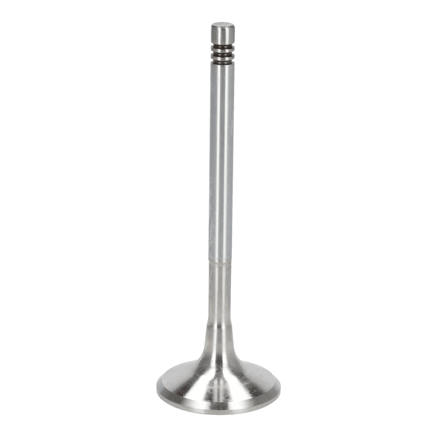 Exhaust Valve