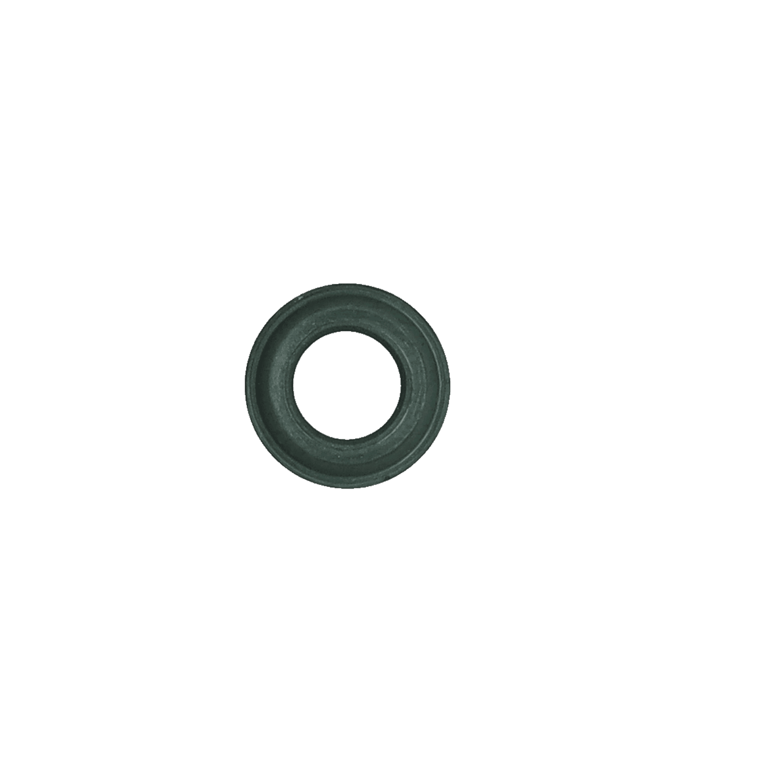Sealing Washer
